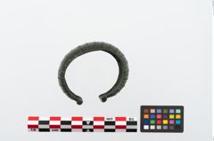 Foto von Bronzemelonenarmreif (NHMW-PRAE-024590)